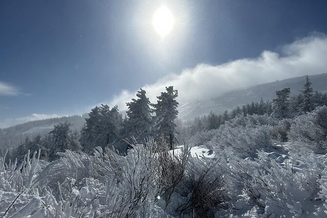 Sofia to Vitosha National Park Snowshoe Hike with Lunch time - Practical details that affect your day
