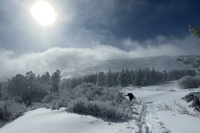 Sofia to Vitosha National Park Snowshoe Hike with Lunch time - Why the guide matters in winter