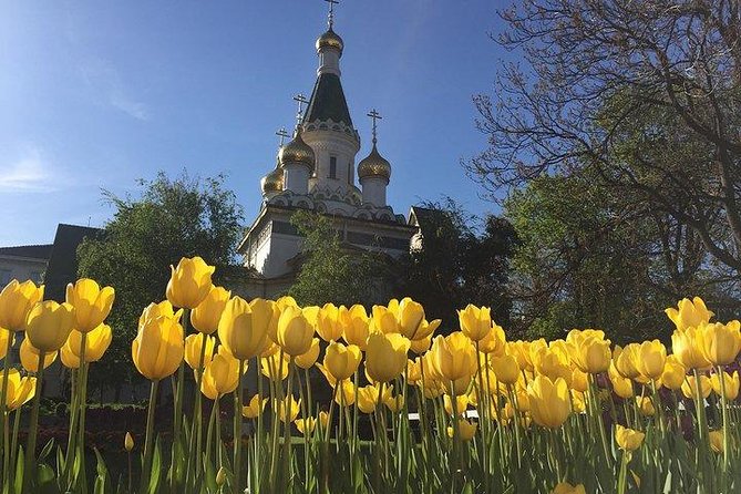 Sofia Walking Private City Tour - Key points to know before booking