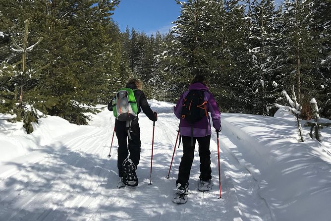 The Best of Bansko: Magical Snowshoeing Adventure & SPA - Why snowshoeing gives you a different Bansko day