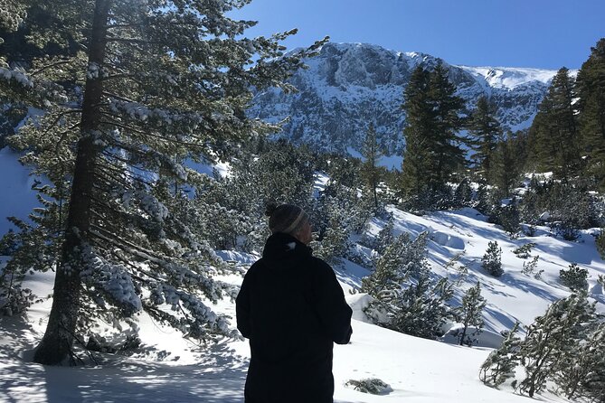 The Best of Bansko: Magical Snowshoeing Adventure & SPA - Dobrinishte mineral pools: a smart final stop
