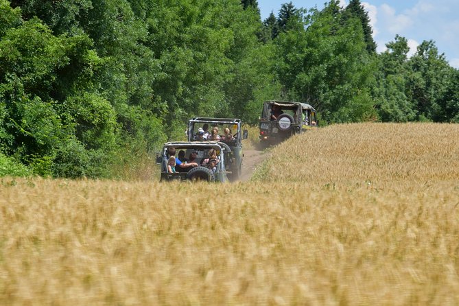 The OFFroad Adventure - Tankovo’s Walnut Ranch Adds Playful Energy