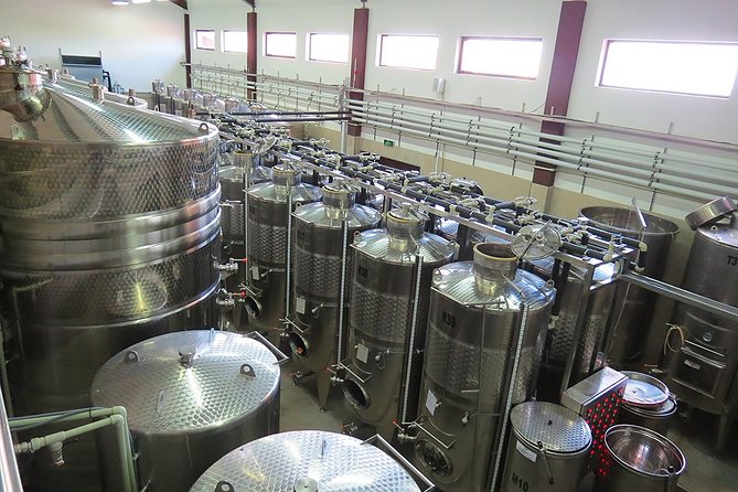 Thracian Valley wine tasting - private day tour from Plovdiv - Why this short trip works from Plovdiv