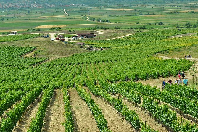 Thracian Valley wine tasting - private day tour from Plovdiv - What the strongest praise tells you