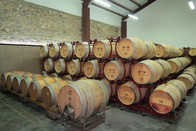 Thracian Valley wine tasting - private day tour from Plovdiv - Who should book this Villa Yustina visit?