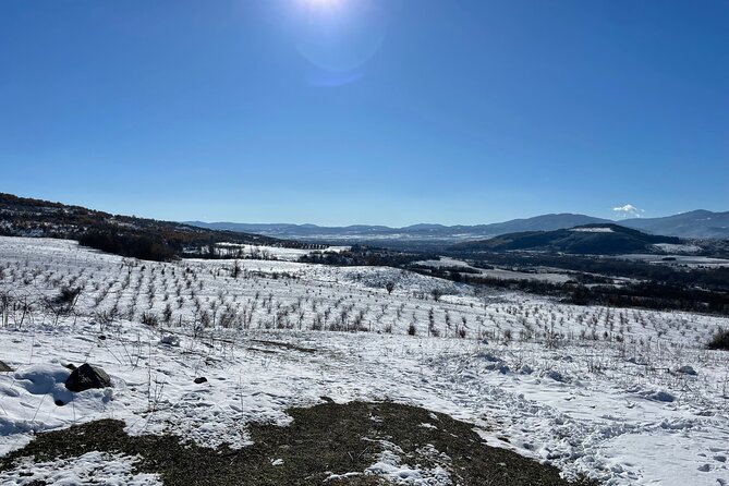 Truffle Hunting in Kyustendil - A country morning in Shipochano