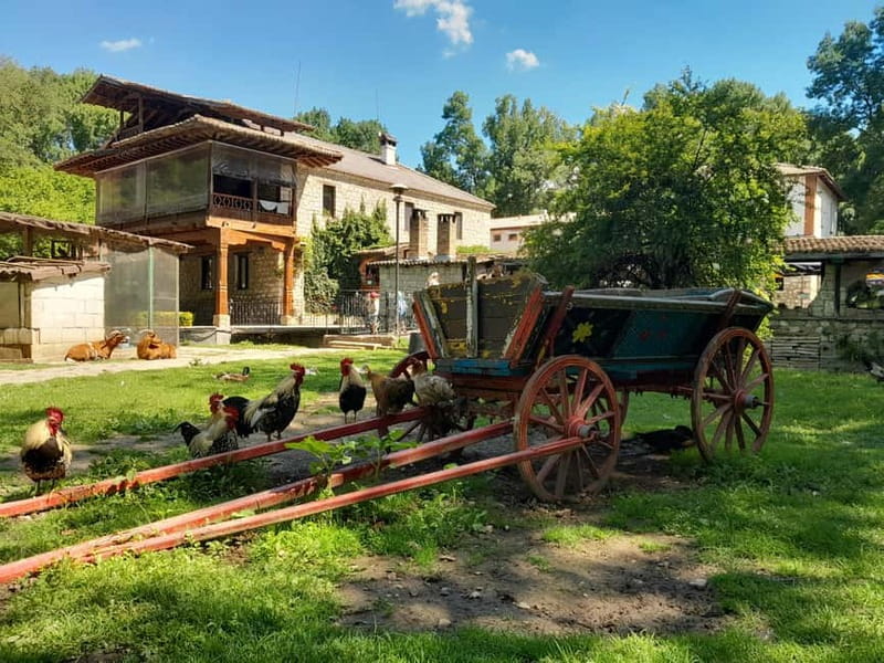 Varna: Guided VIP Tour - Five things worth knowing before you book