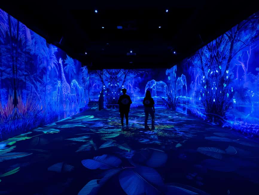VIDENIE Immersive Art Space Entry Ticket - Key Points Before You Go