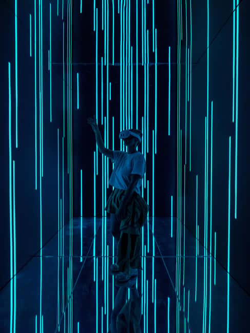 VIDENIE Immersive Art Space Entry Ticket - What VIDENIE Is Trying to Do