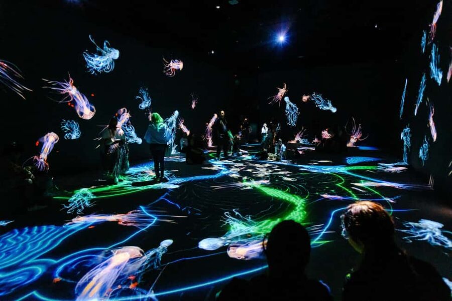 VIDENIE Immersive Art Space Entry Ticket - Walking Through Light, Color, and Sound
