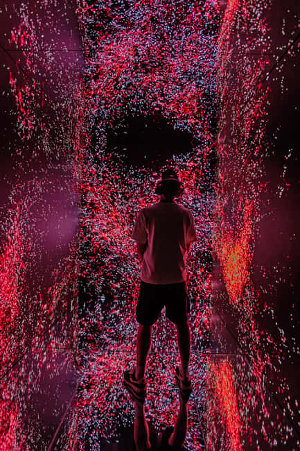 VIDENIE Immersive Art Space Entry Ticket - Is One Hour Enough?