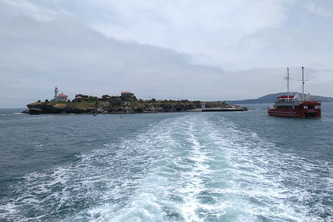 Visit the Unique & Only Bulgarian Black Sea Island Saint Anastasia - Key points to know before you book