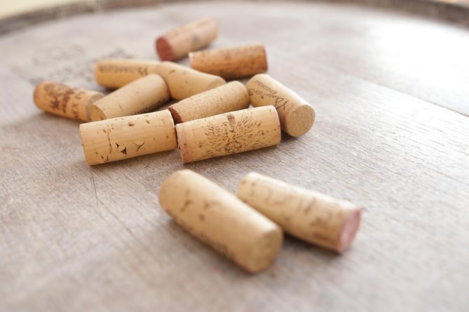 Wine Tasting in Heart of Sofia - What the one-hour schedule means for your day