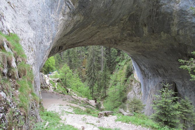 Wonderful Bridges-Bachkovo Monastery-Assen's Fortress - day tour from Plovdiv - Who should book this tour?